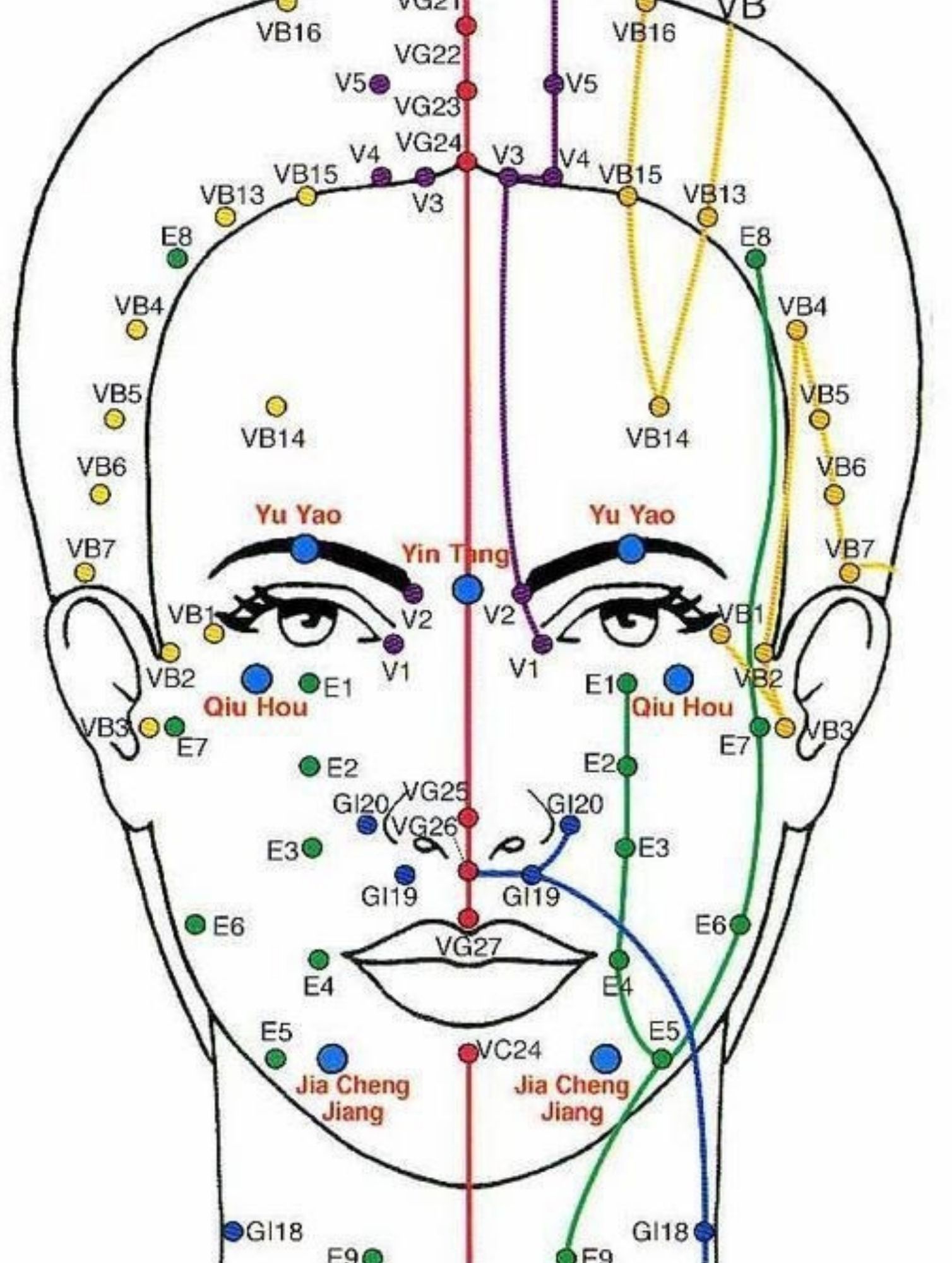 Les point d'aculifting importants sur le visage - dessin